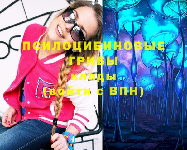 индика Бронницы