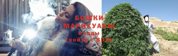 молекула духа Бугульма